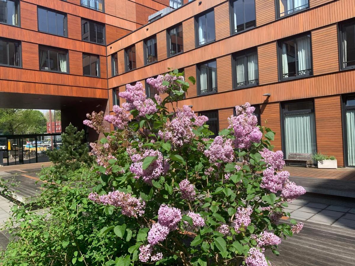 Studio-apartment In City-center Appartement