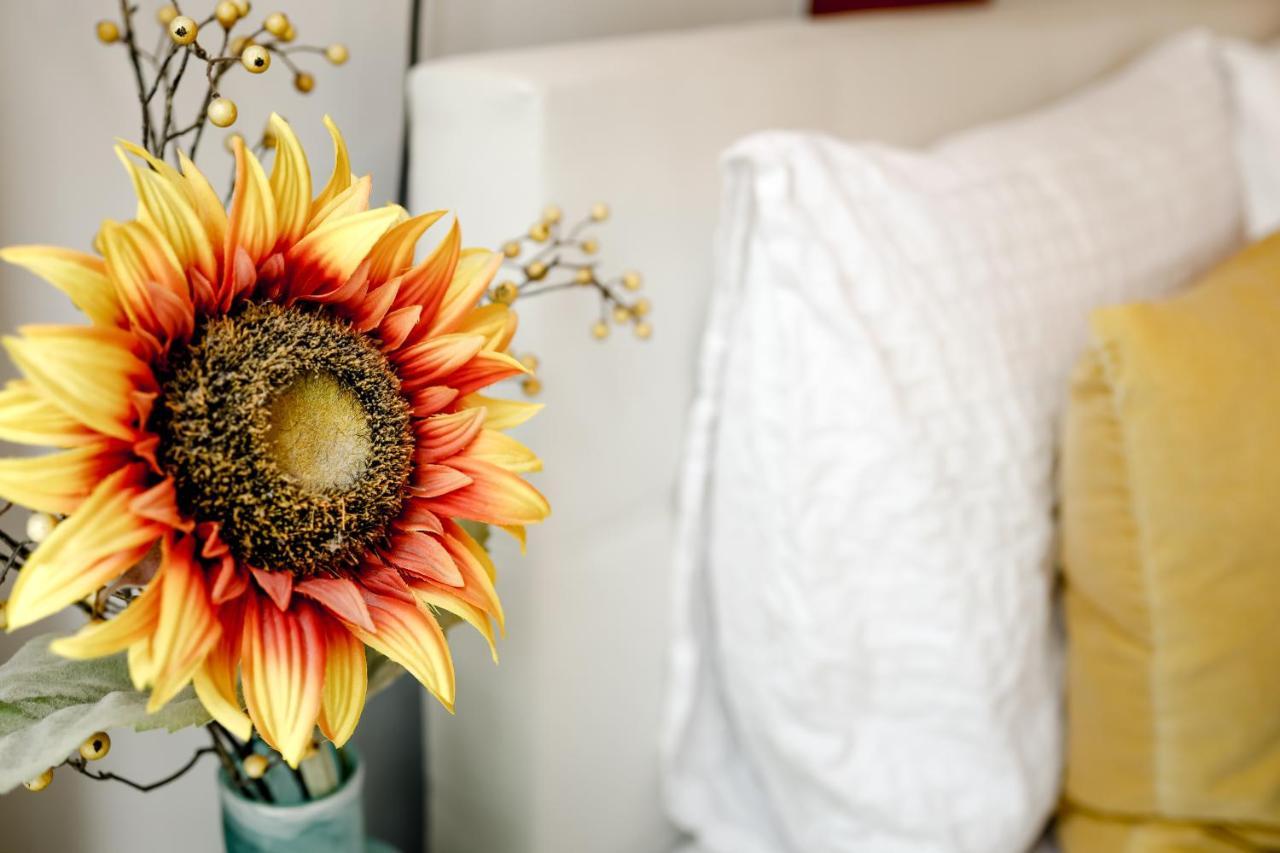 Sunflower Bed & Breakfast Amsterdam