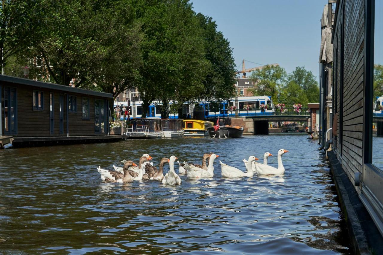 The Houseboat Family - De Pijp Amsterdam
