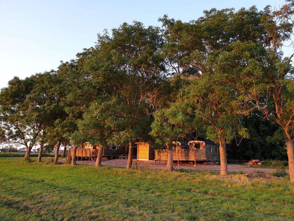 Bed & Breakfast Your Double Birdsnest On Wheels