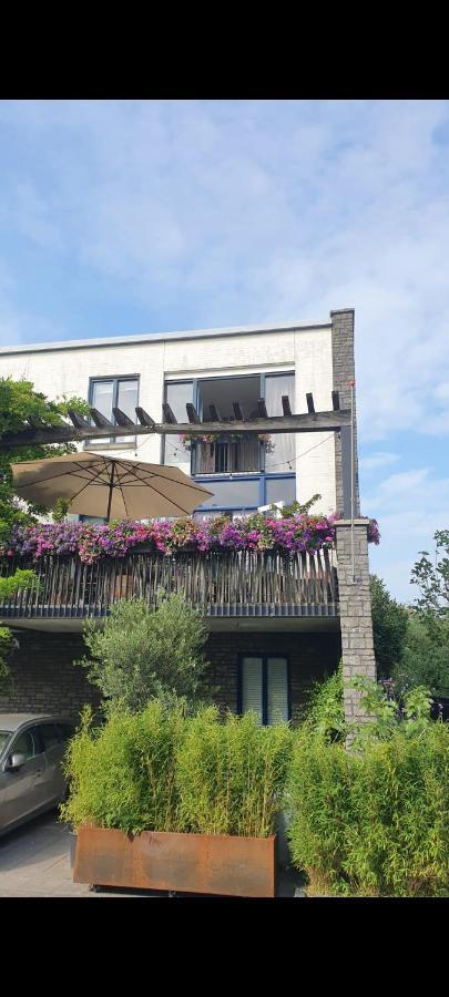 Apartment Lovely 1 Bedroom With Garden Amsterdam