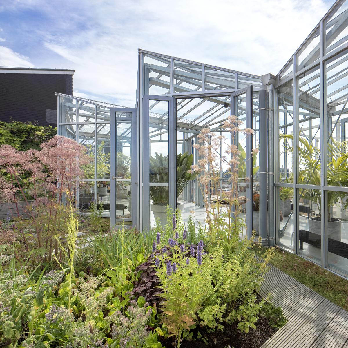 Zoku 4* Amsterdam