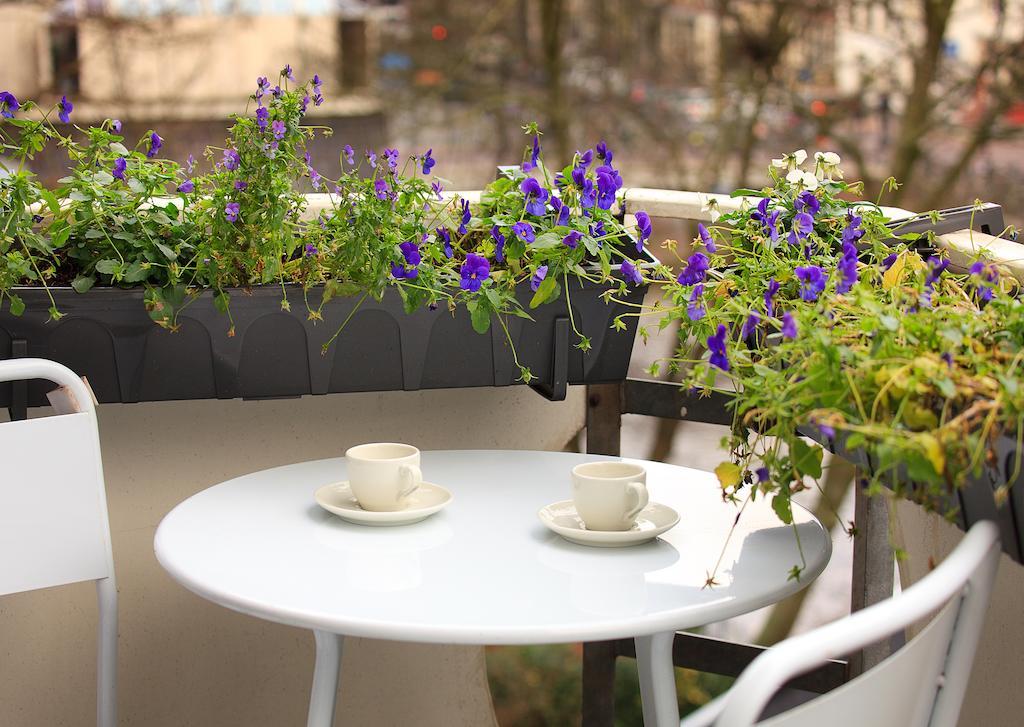 Blue Tulip Bed & Breakfast *