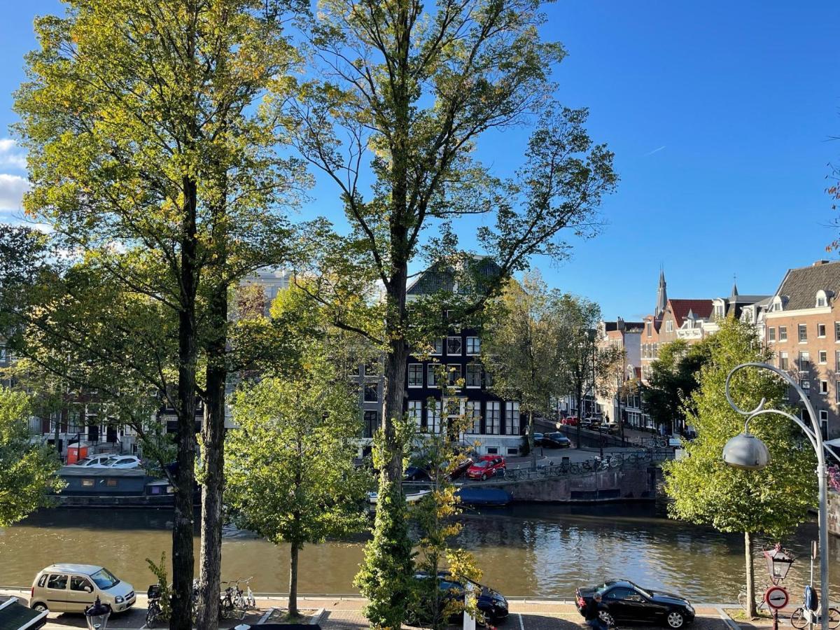 Little Tulip Amsterdam