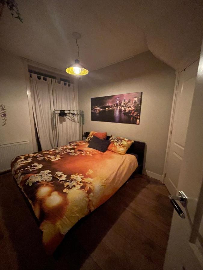 Cozy *