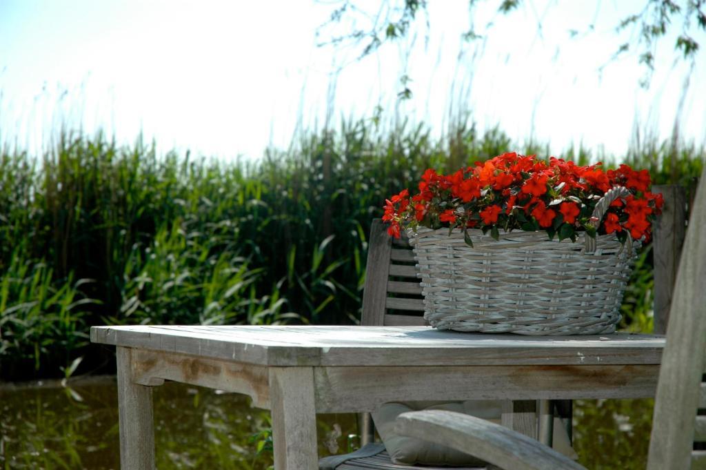 Country Holiday home *