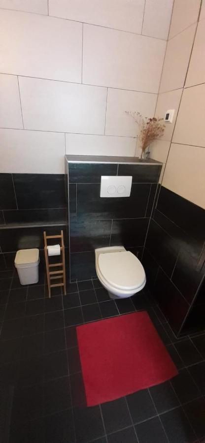Charlotte, Not For Parties, Not A Hotel, With Shared Bathroom, No Kitchen Amsterdam
