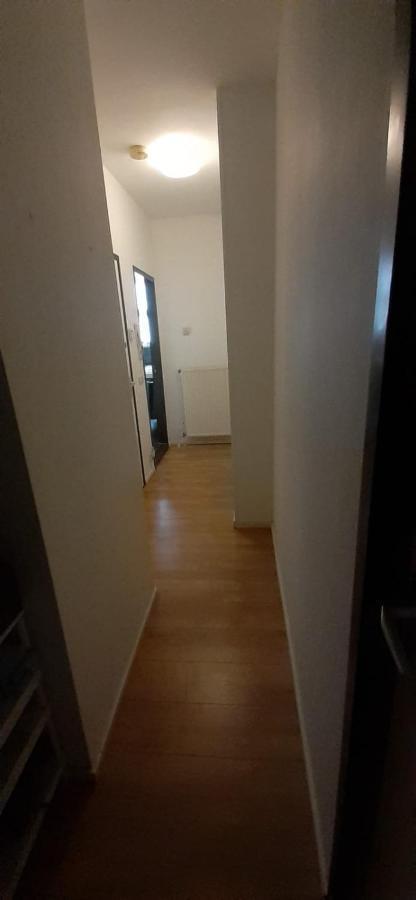 Charlotte, Not For Parties, Not A Hotel, With Shared Bathroom, No Kitchen *