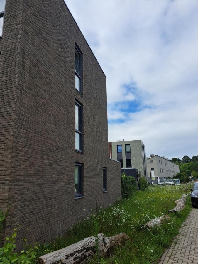 Dubbelink 3a Homestay Amsterdam