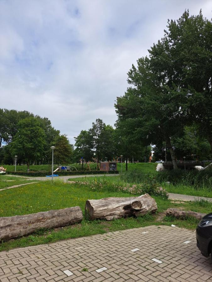 Homestay Dubbelink 3a Amsterdam