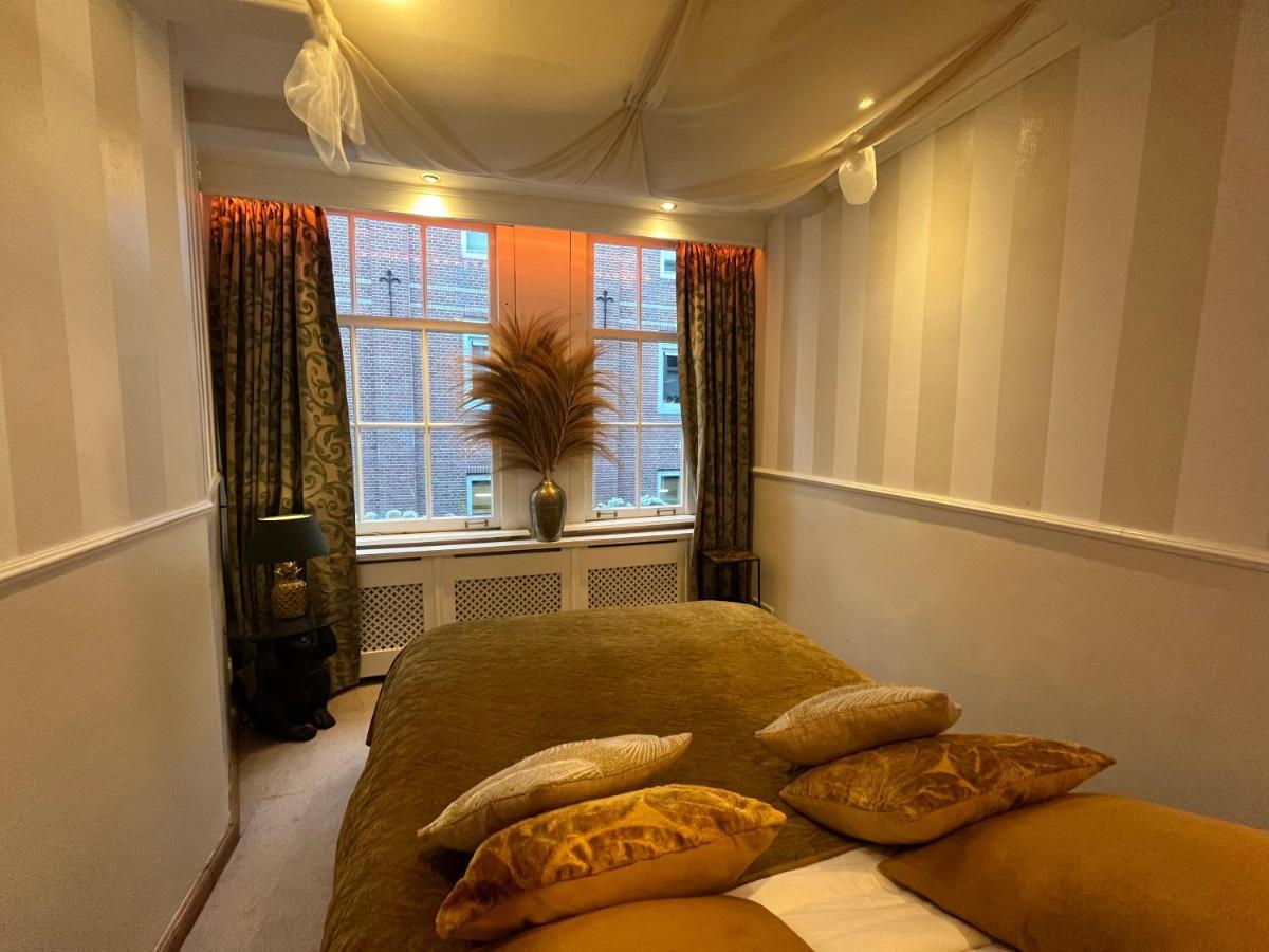 The Enlightened House Luxury *