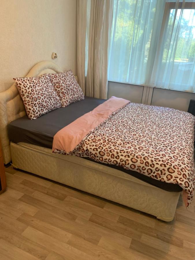 Kantershof 542 Homestay