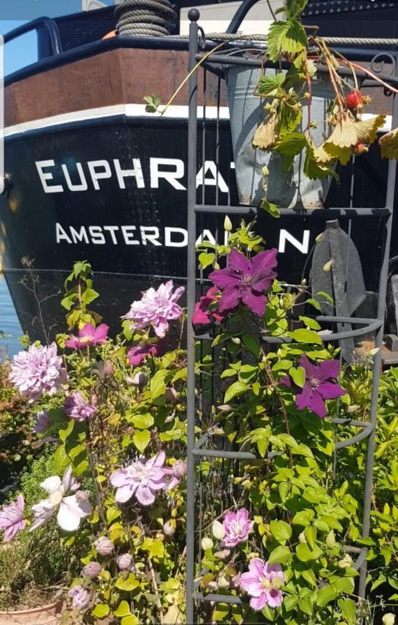 Wheelhouse Euphrate Houseboat Bed & Breakfast