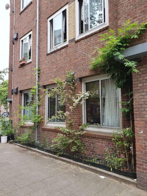 Apartment Met 2 Slaapkamers En Tuin In
