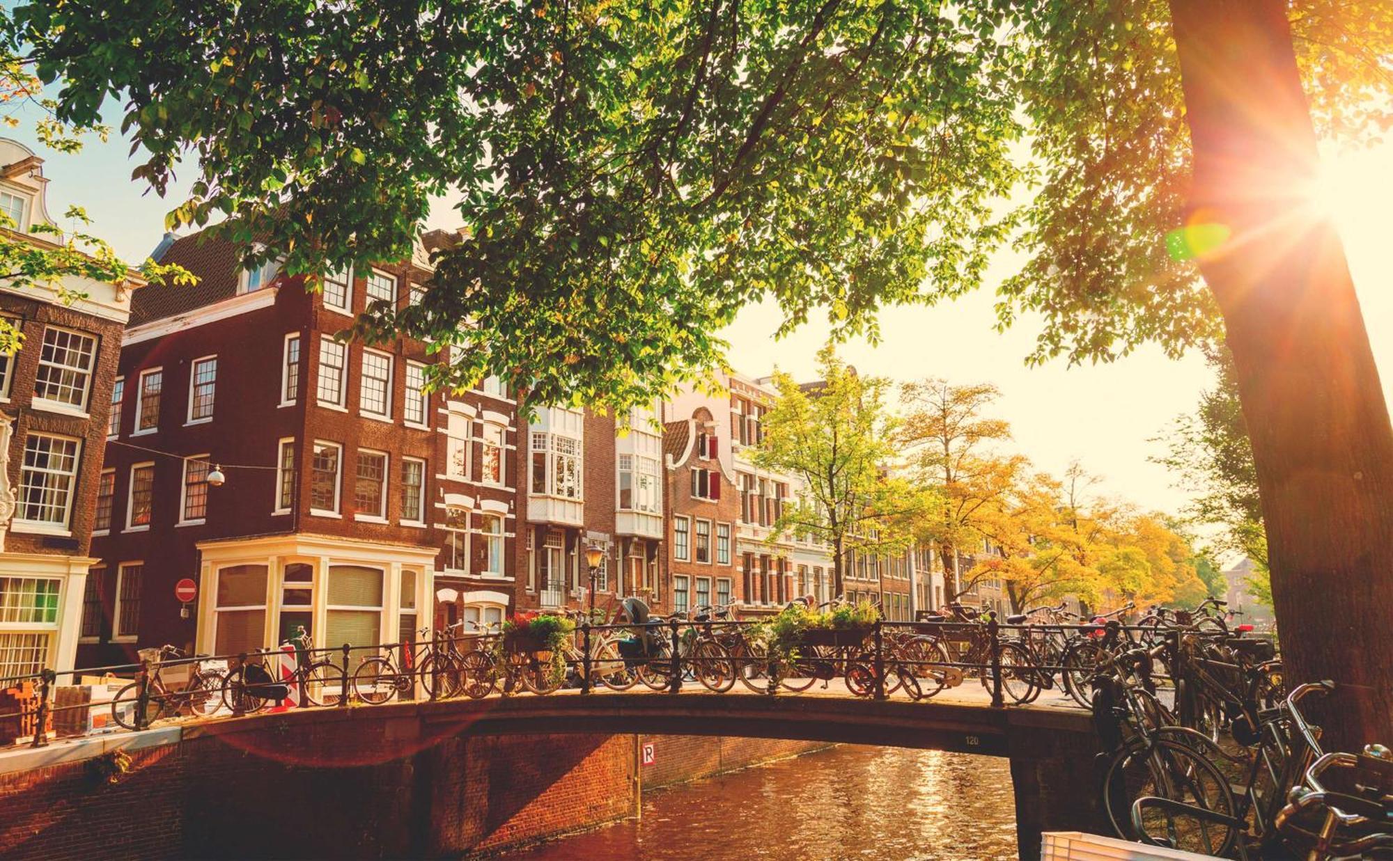 Art'otel Amsterdam, Powered By Radisson Hotel Amsterdam