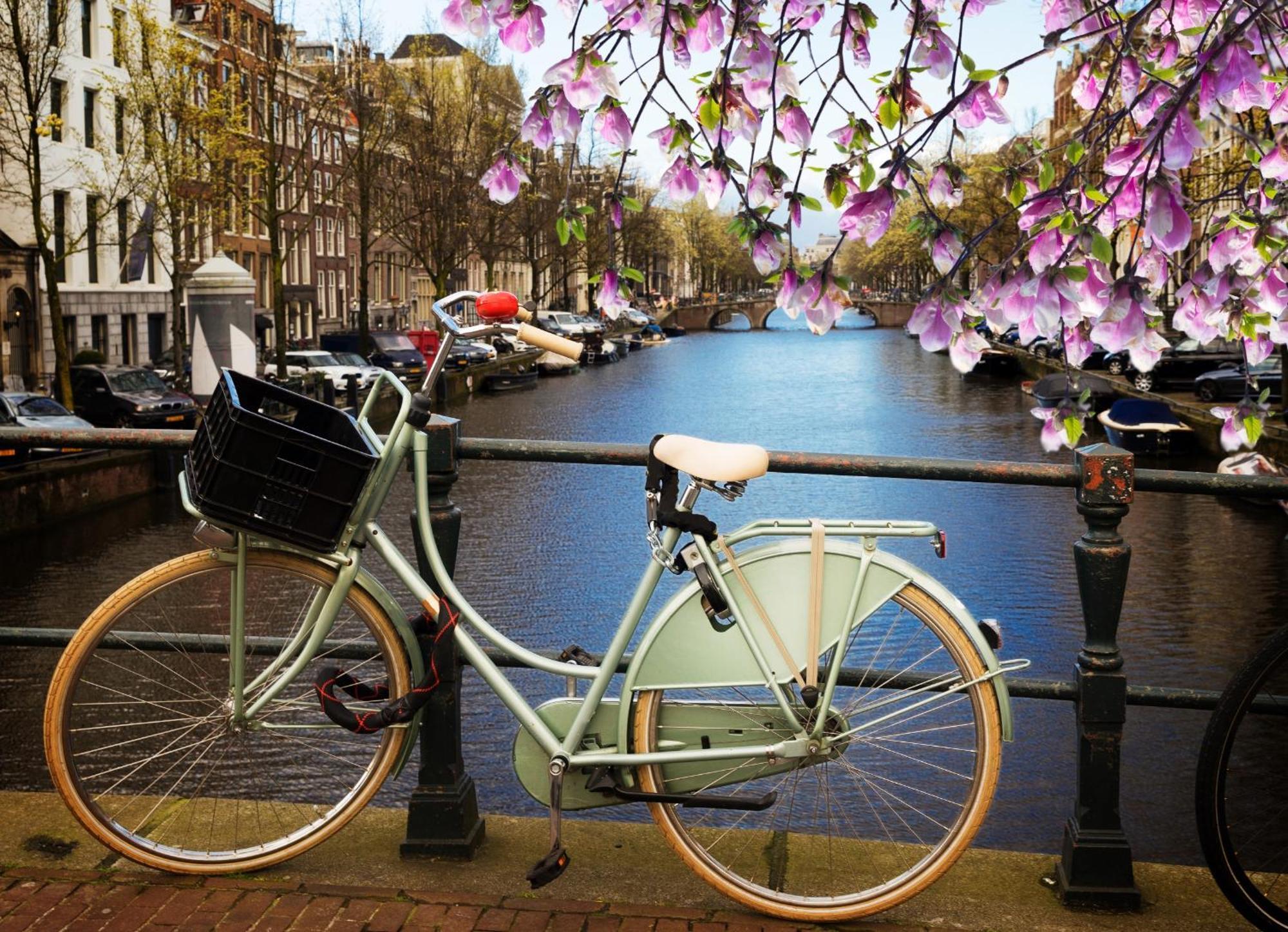 Tulip House Luxury - Location - Rijksmuseum - Leidseplein 120 M2 Private With Kitchen Amsterdam
