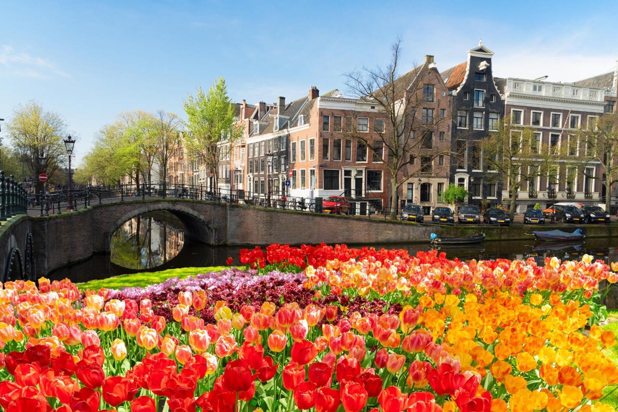 Tulip House Luxury - Location - Rijksmuseum - Leidseplein 120 M2 Private With Kitchen *