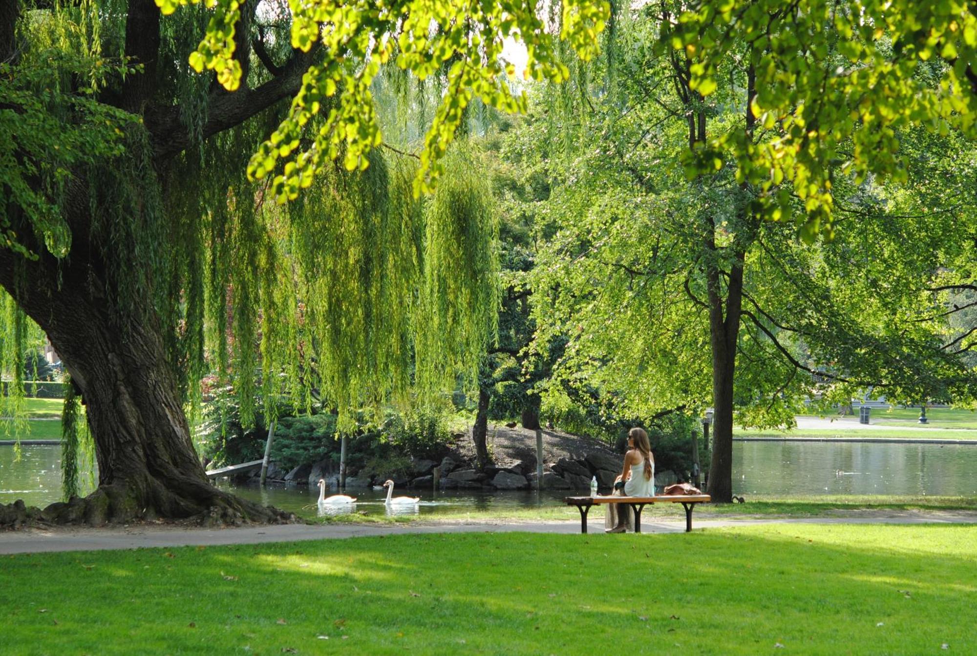 Bed & Breakfast Renovated Parkside Gem - 2 Person In The Pijp Amsterdam