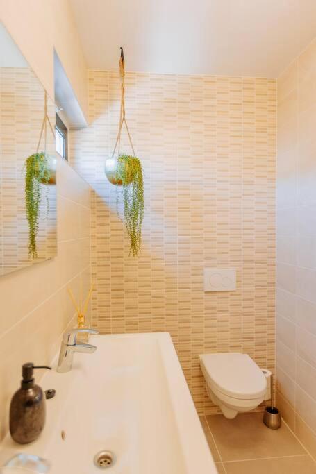 Brand New Bright & Luxurious In Amsterdam! Amsterdam