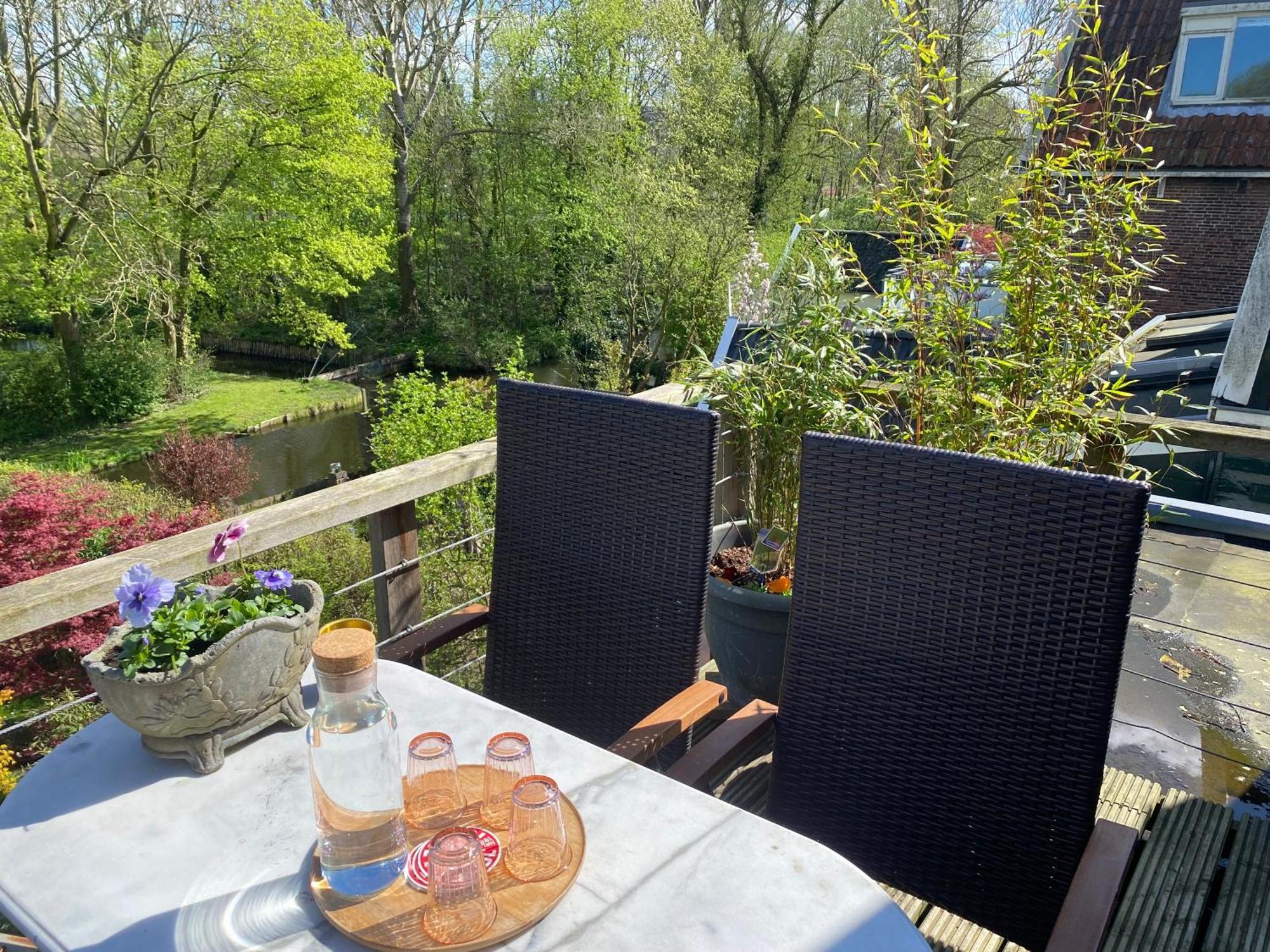 Garden View *