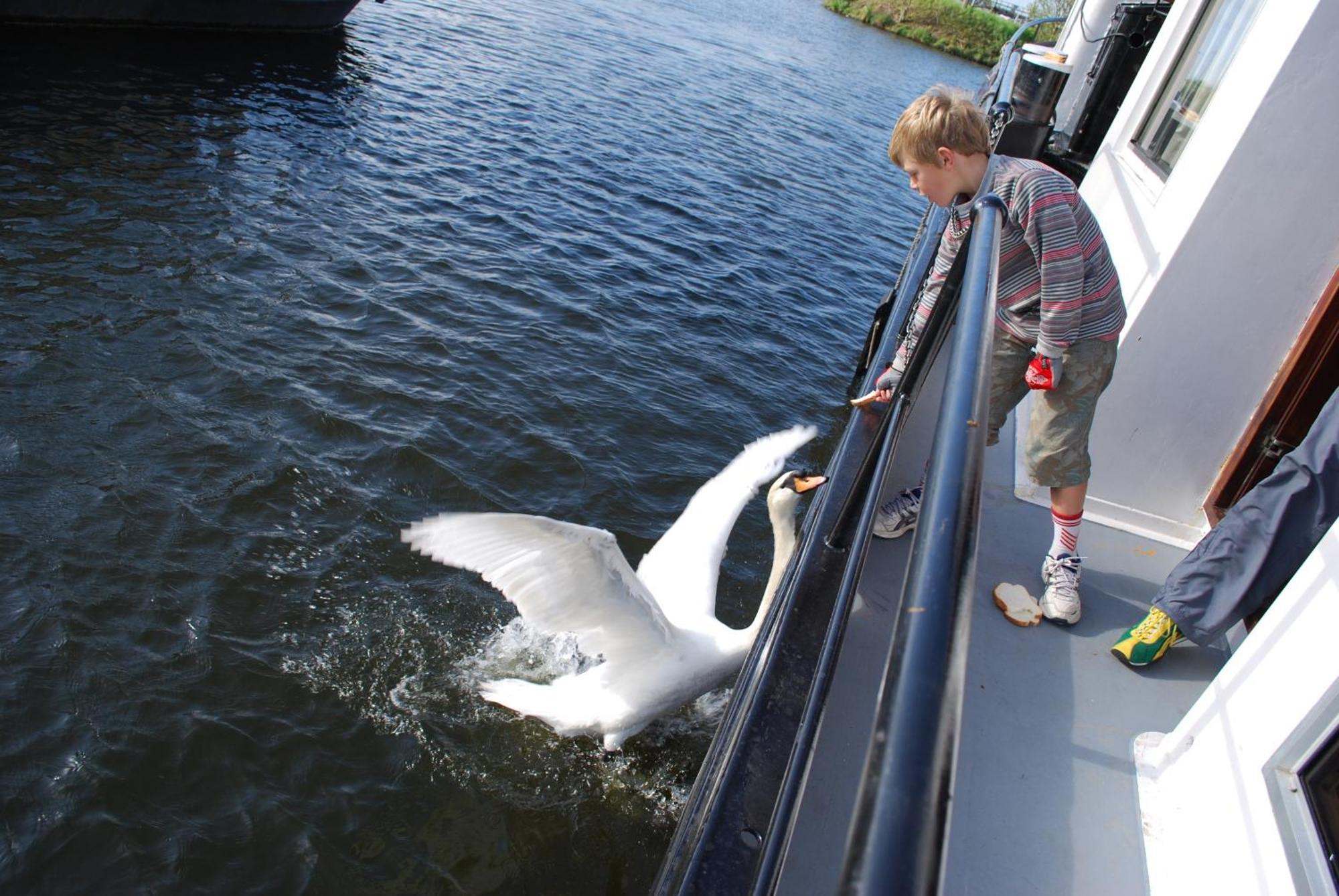 Hotel Hotelboot Zwaan