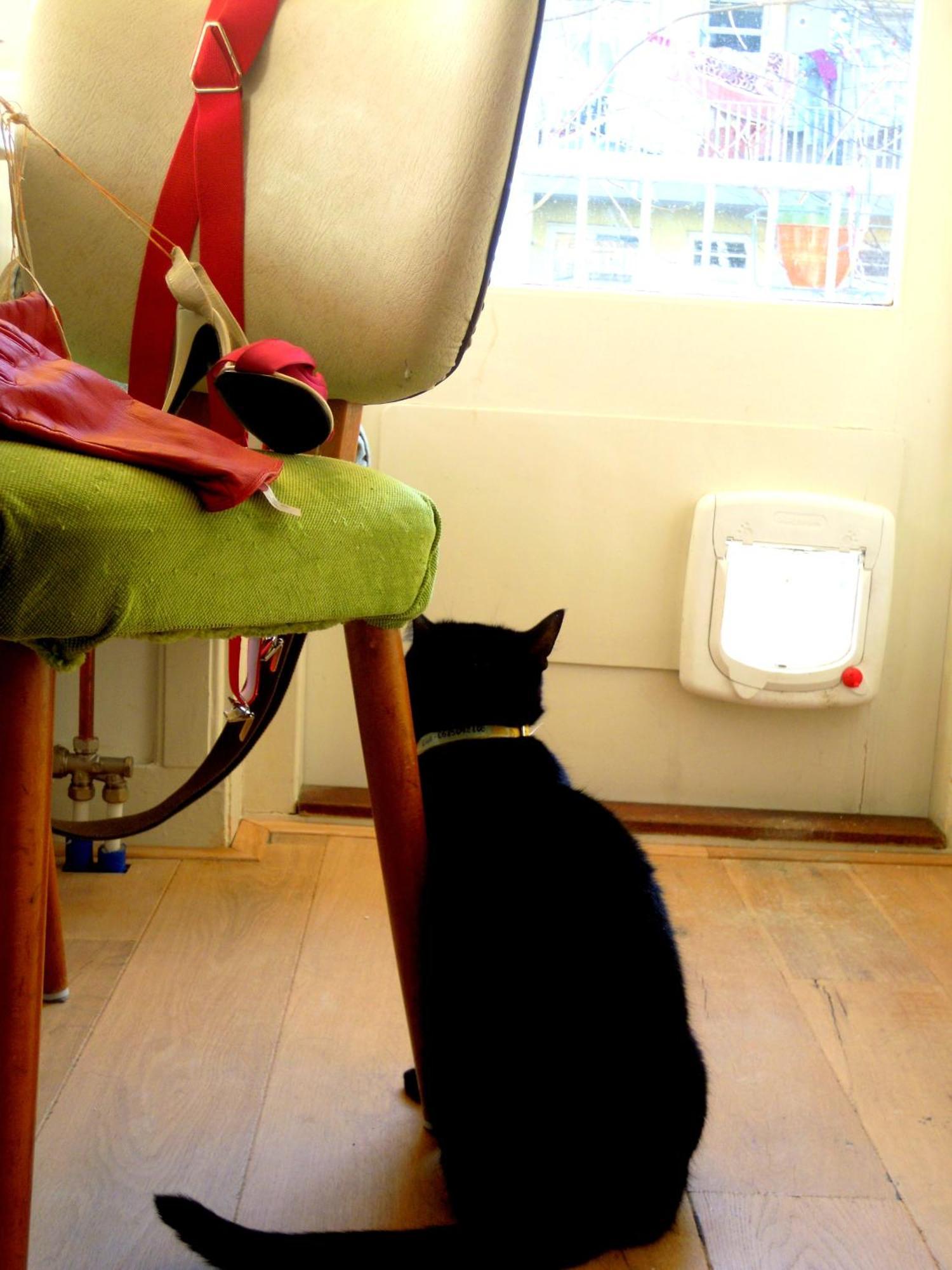 Bed & Breakfast Missortelia