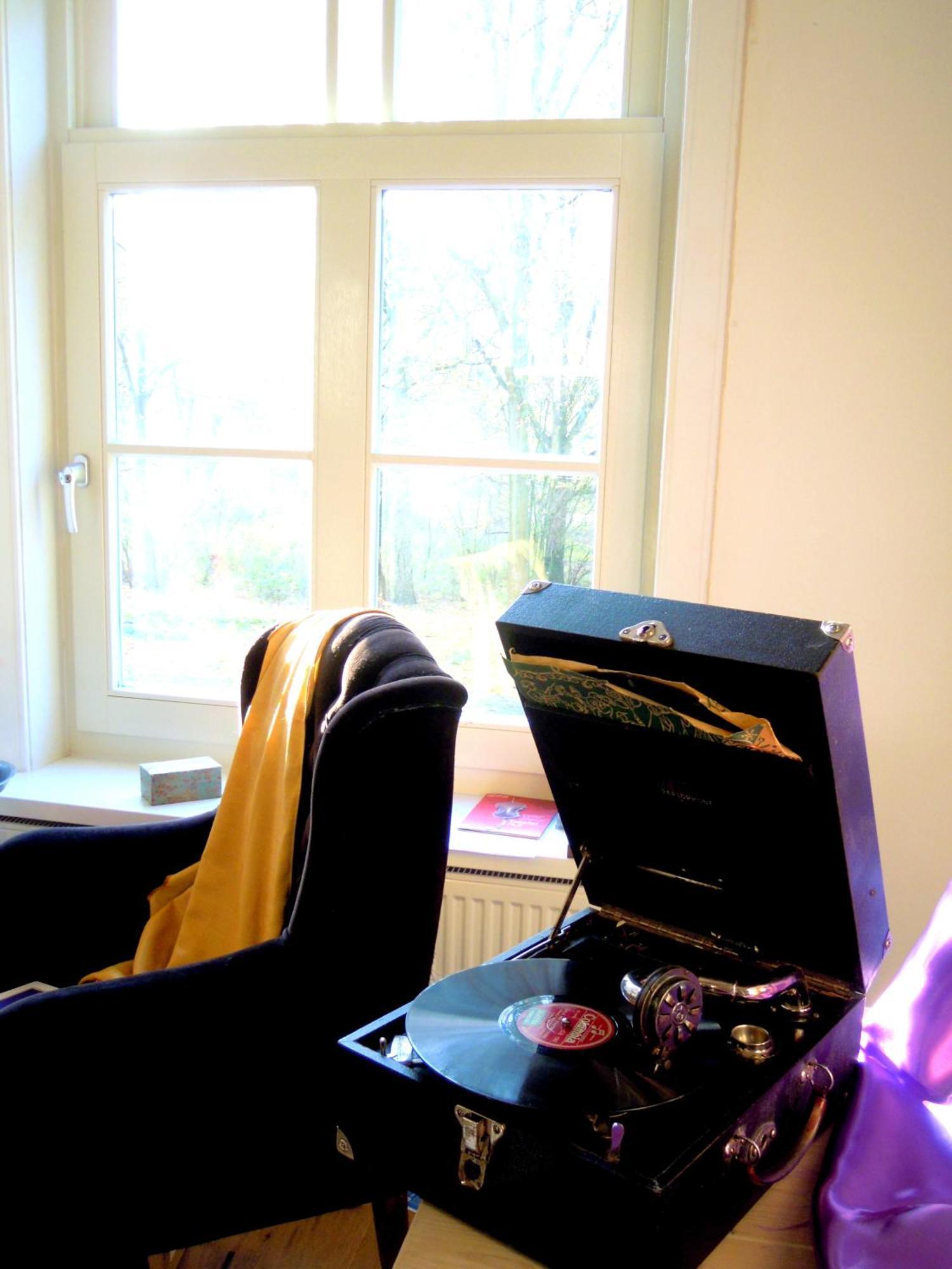 Missortelia