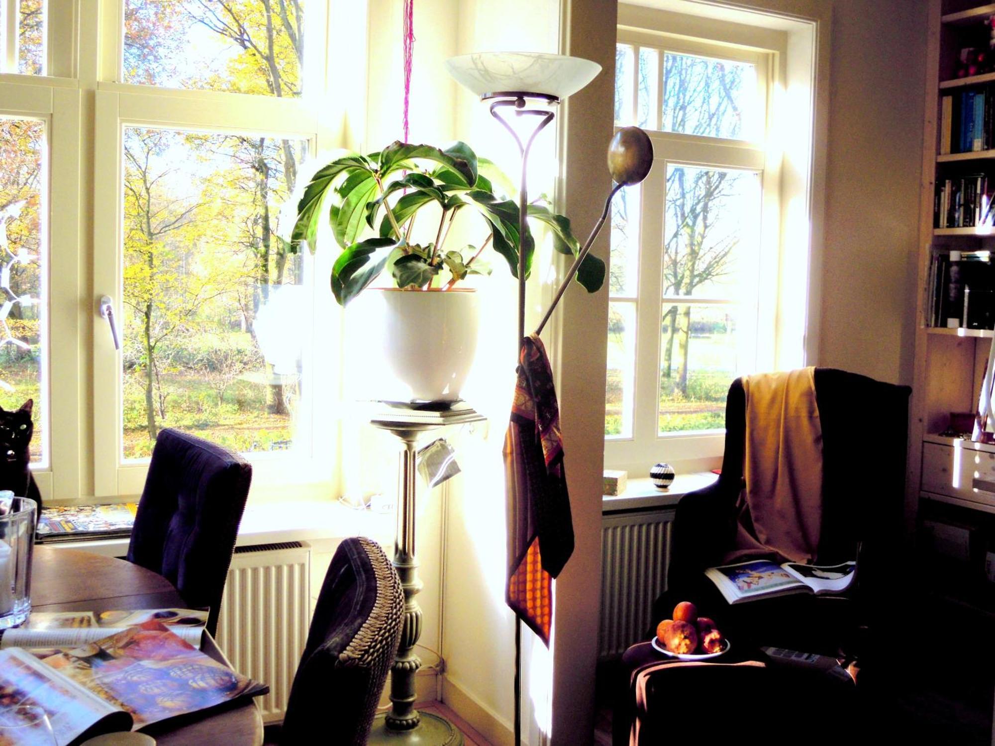 Missortelia Amsterdam