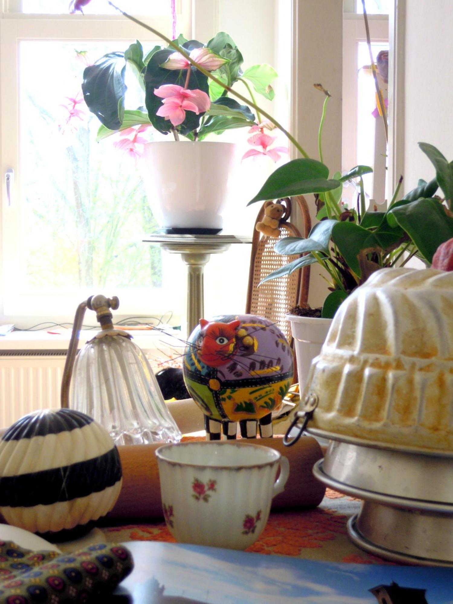 Bed & Breakfast Missortelia