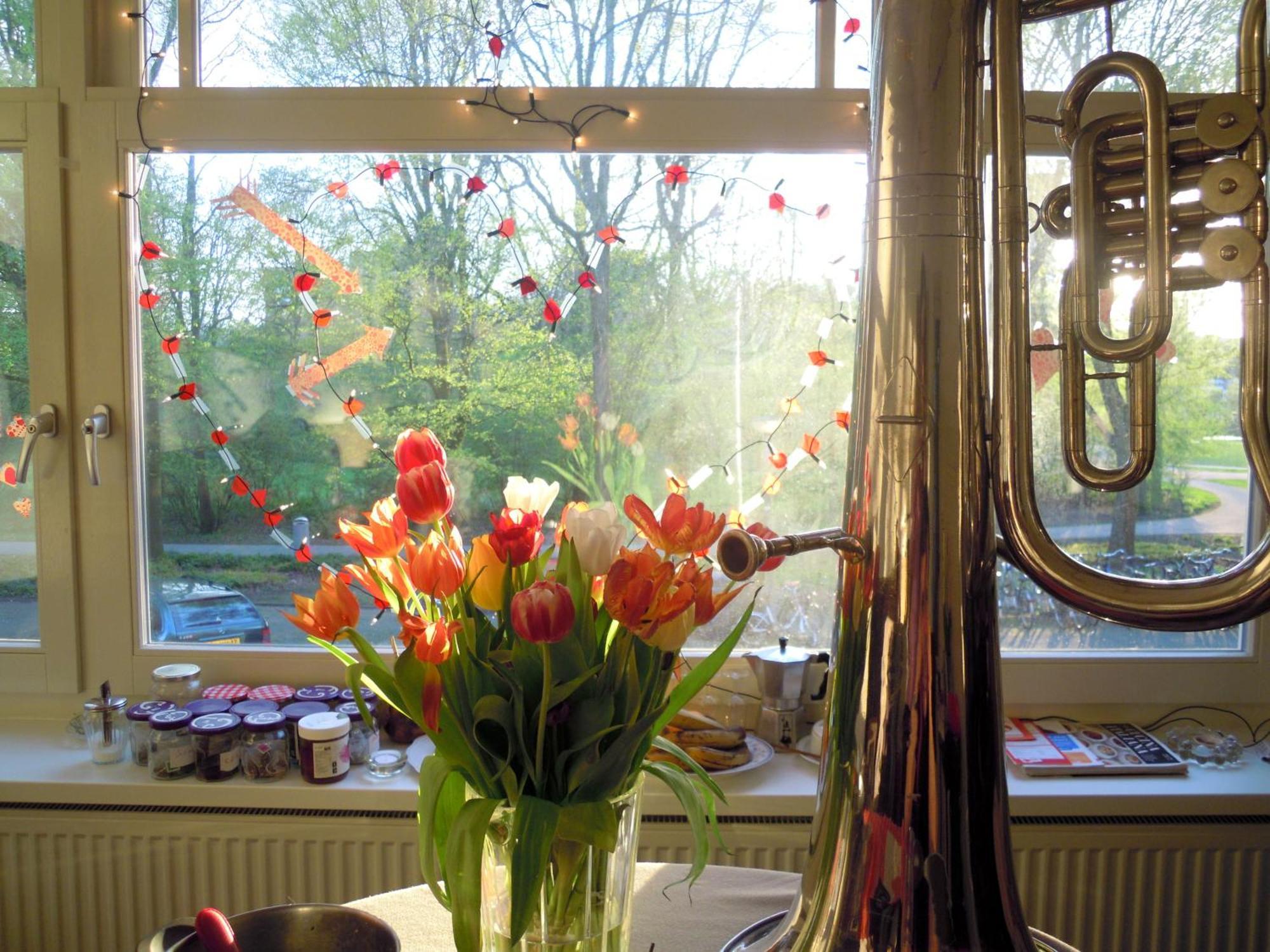 Bed & Breakfast Missortelia