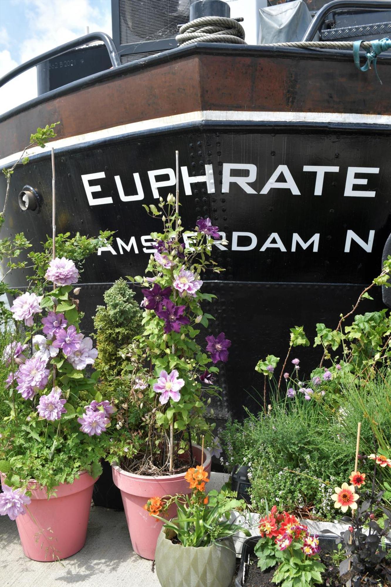 Wheelhouse Euphrate Houseboat Bed & Breakfast Diemerbrug