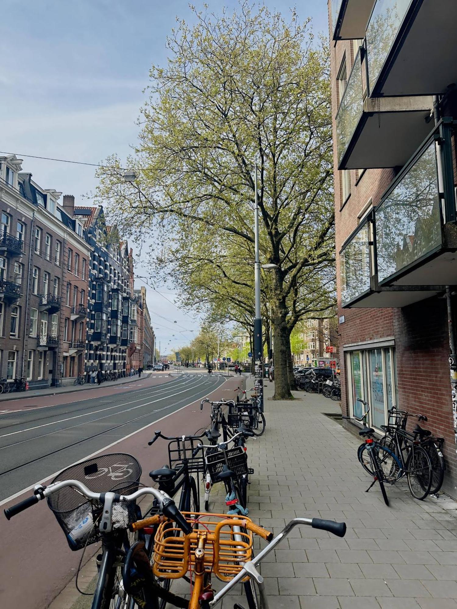 Beautiful In The Heart Of Amsterdam! Apartment *
