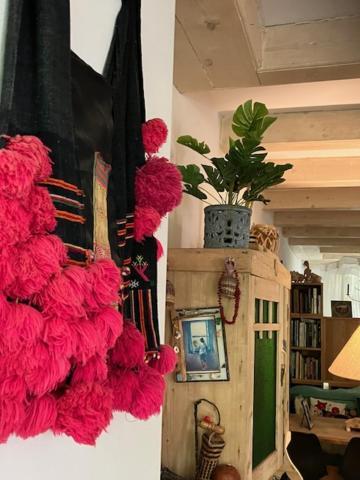Bed & Breakfast Bohemian Loft Amsterdam