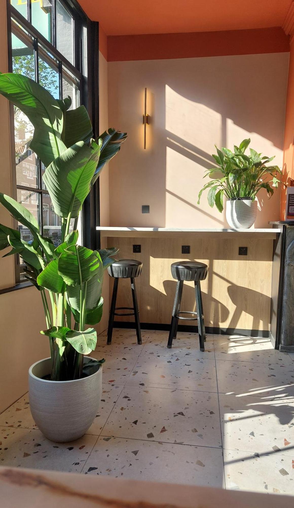 Hostel Budget Heart Of Amsterdam