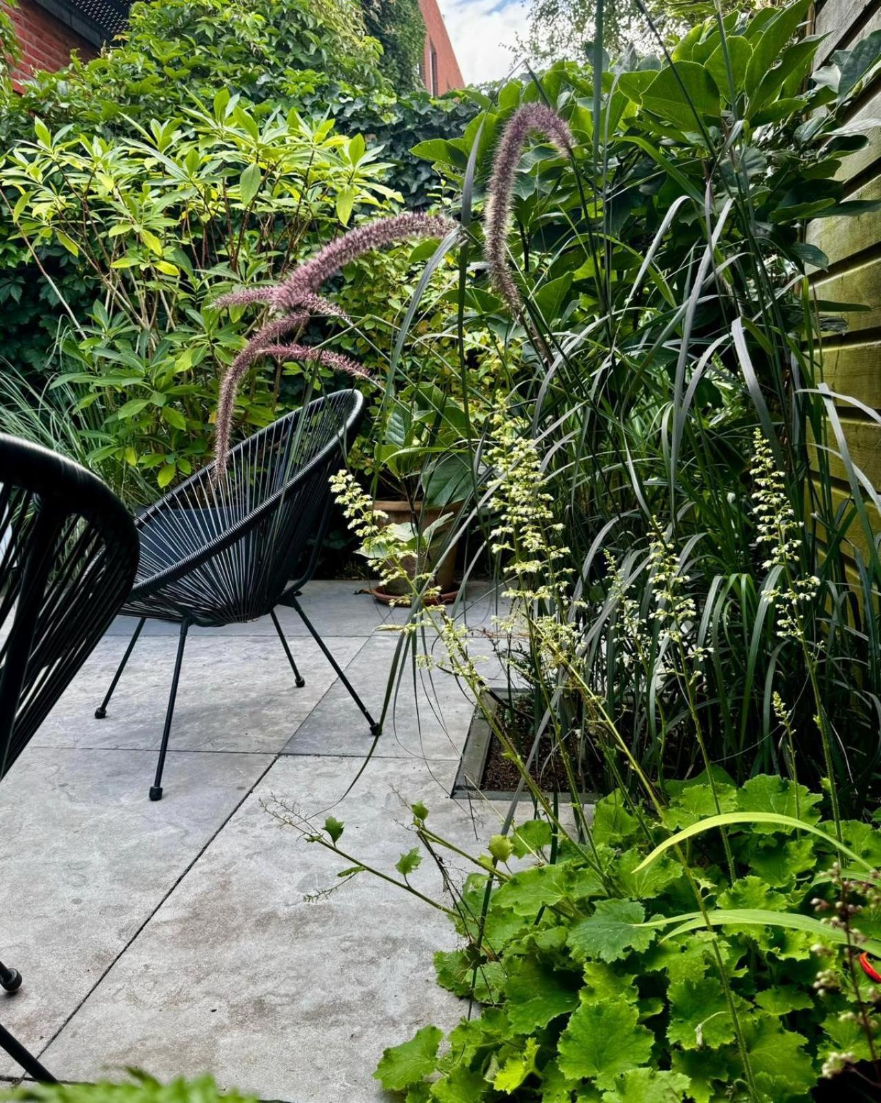 Bed & Breakfast Urban Oasis *