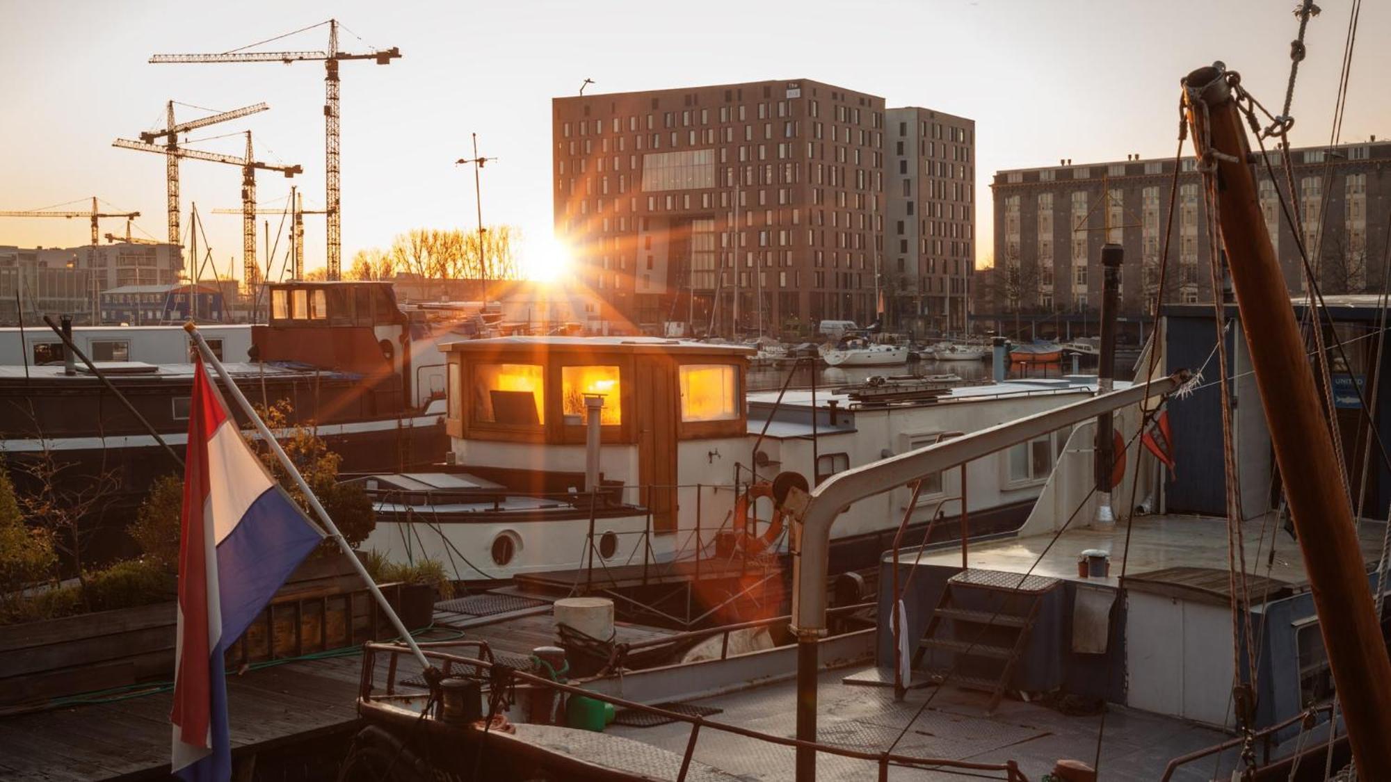 - The Niu, Fender 4* Amsterdam