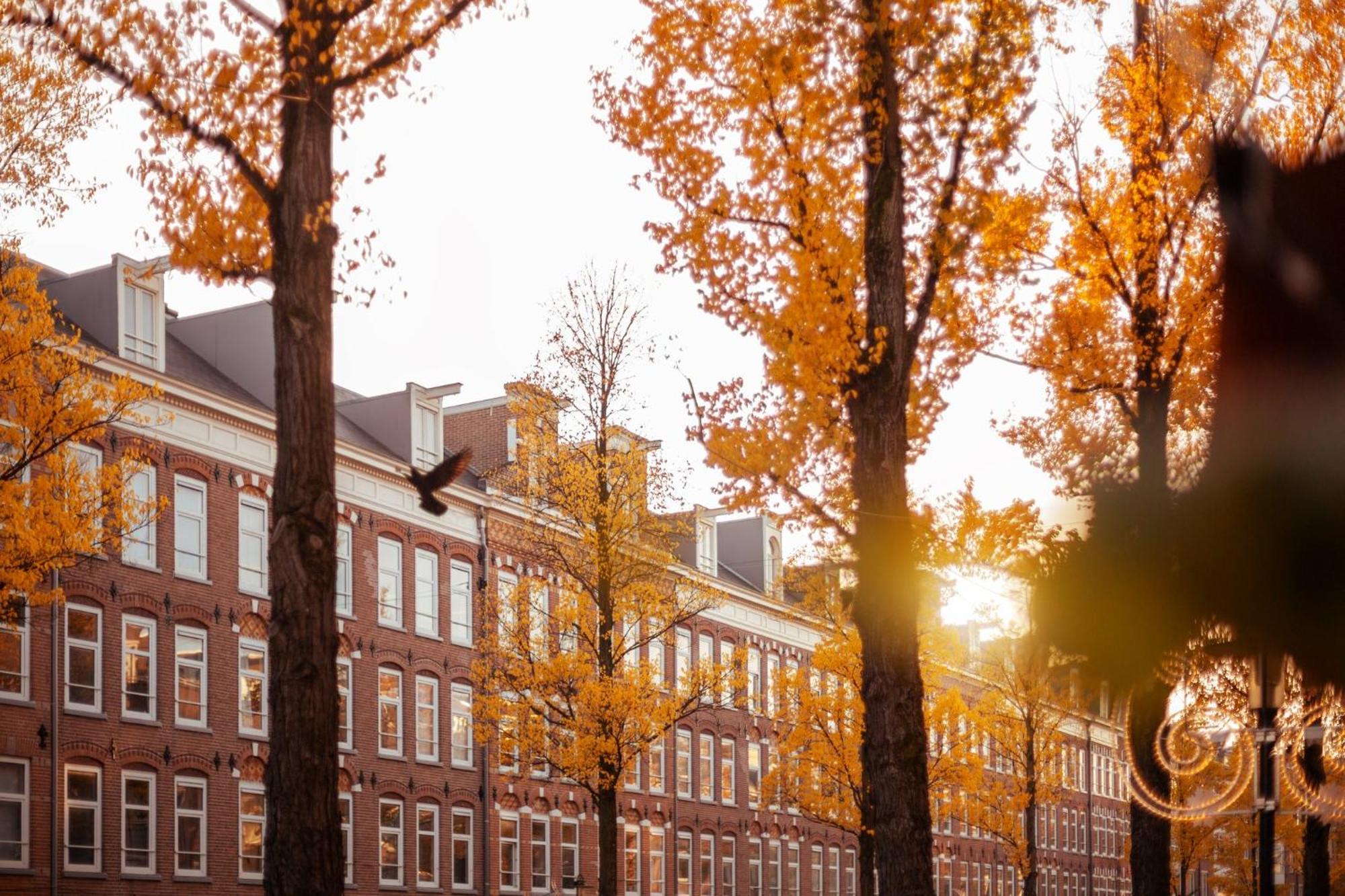 - The Niu, Fender Hotel Amsterdam