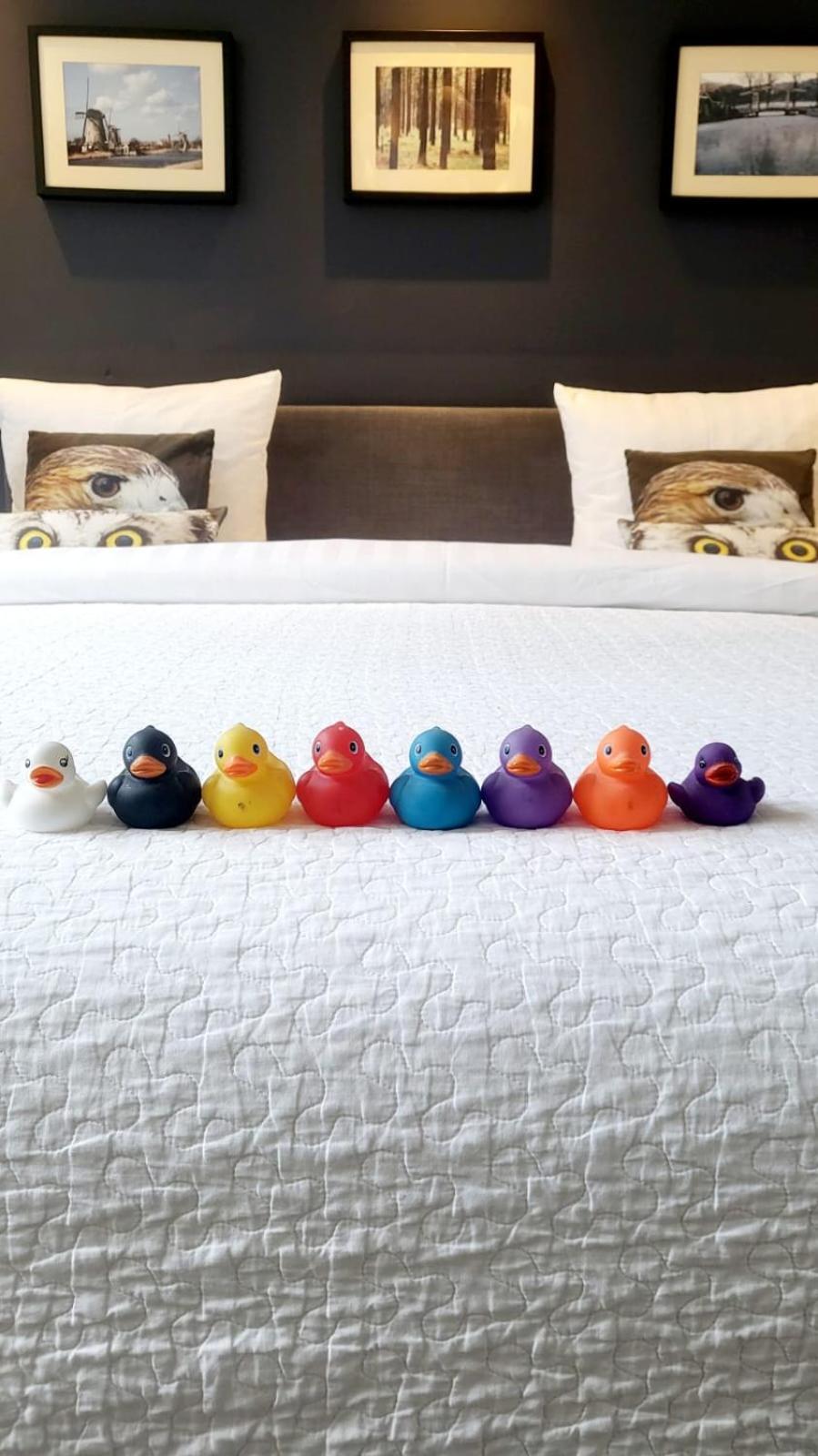 Velvetamsterdam Homestay Amsterdam