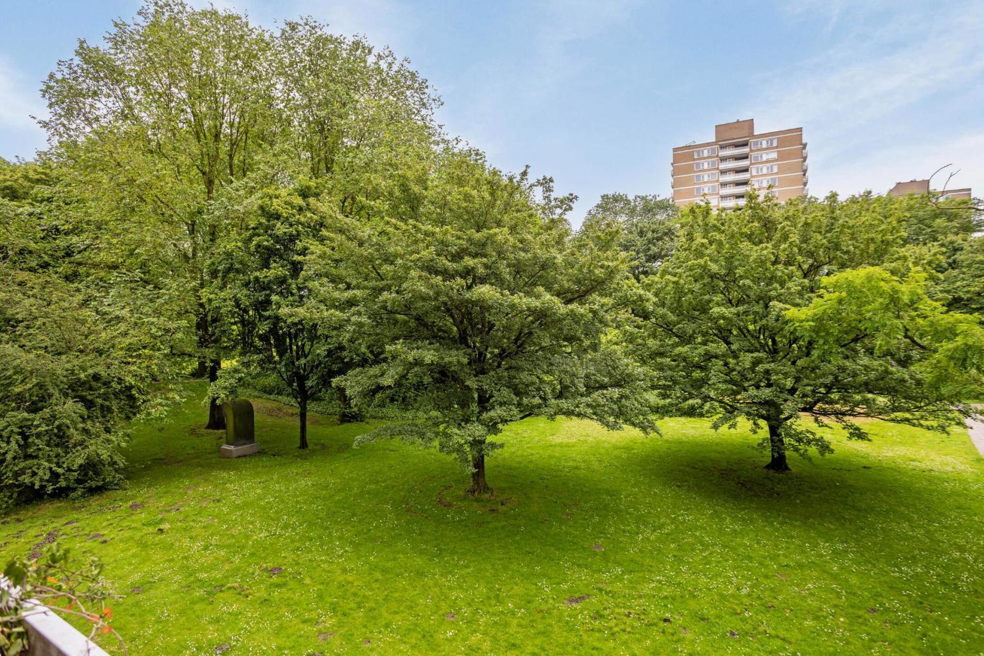 Cozy Retreat With Park Views And Free Parking Apartment