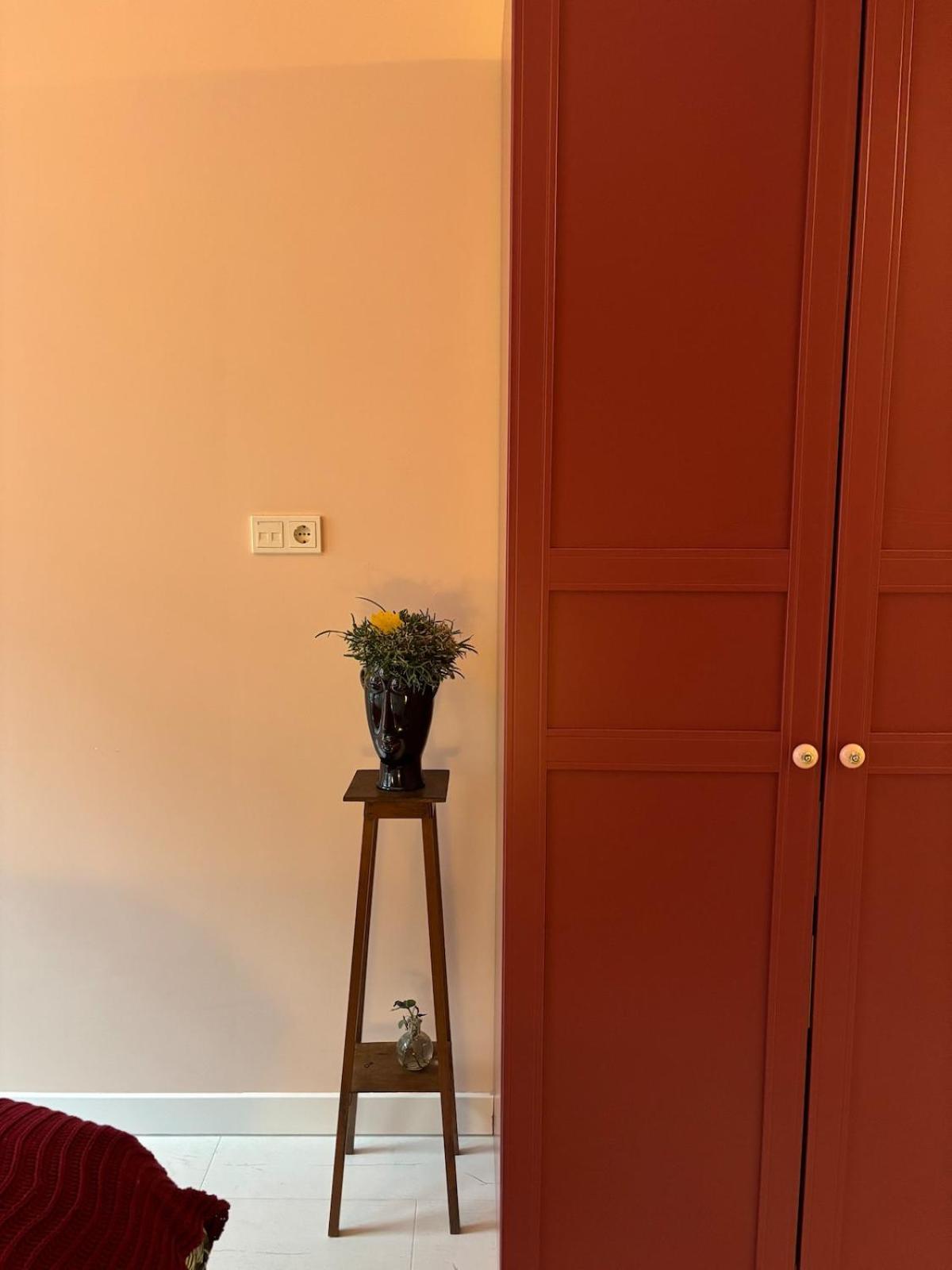 Stylish & Colorful With Large Garden! Apartment