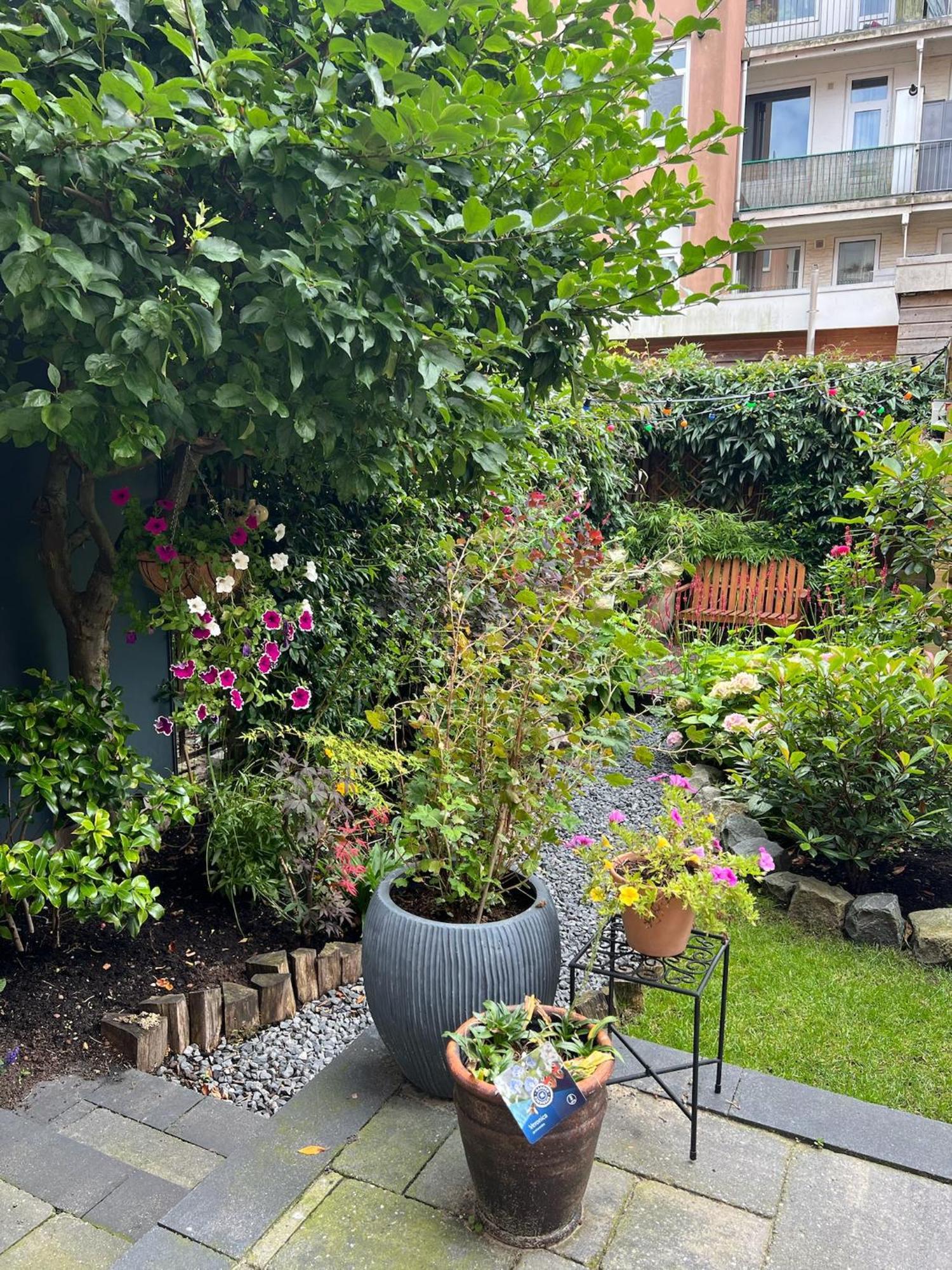 Stylish & Colorful With Large Garden!