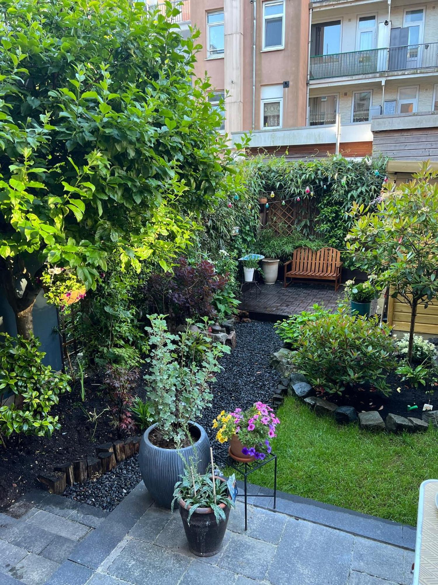 Stylish & Colorful With Large Garden! Apartment