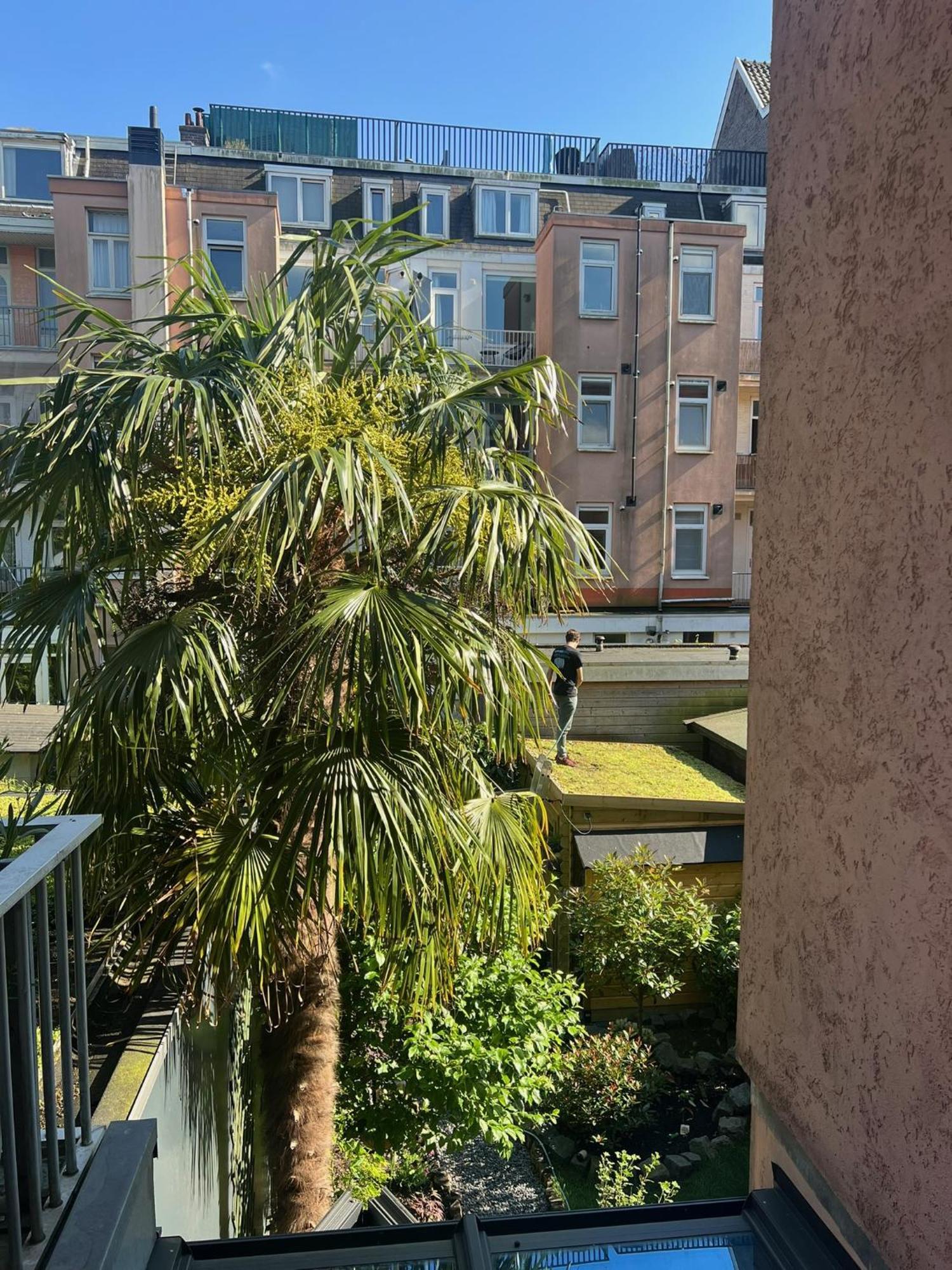 Apartment Stylish & Colorful With Large Garden! Amsterdam