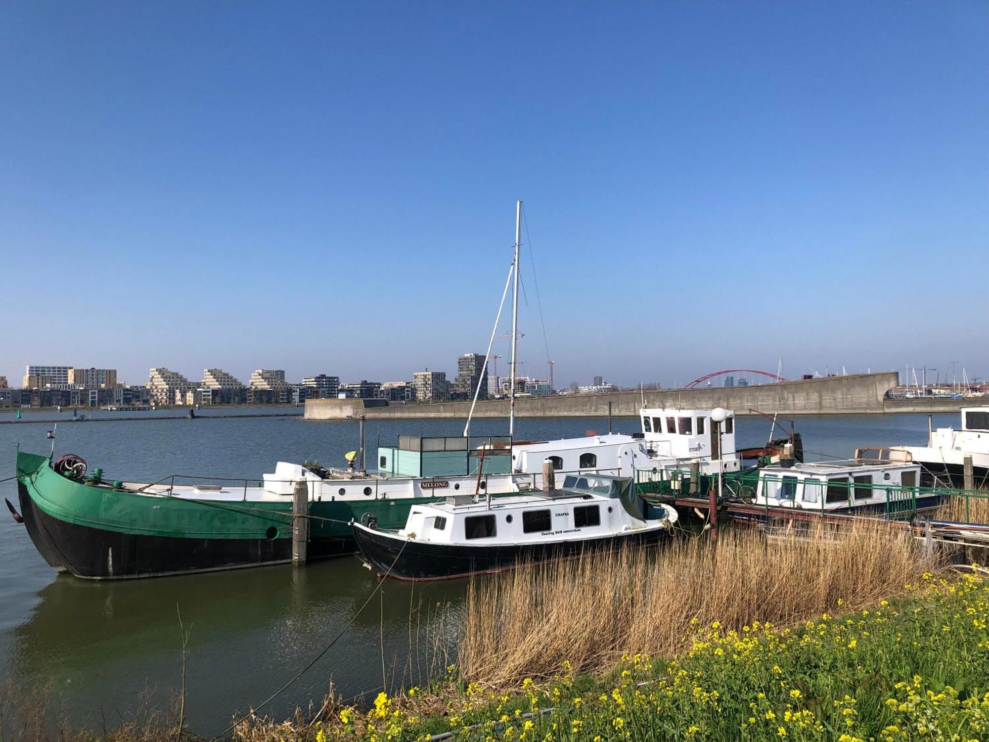 Floating Bed & Breakfast Amsterdam