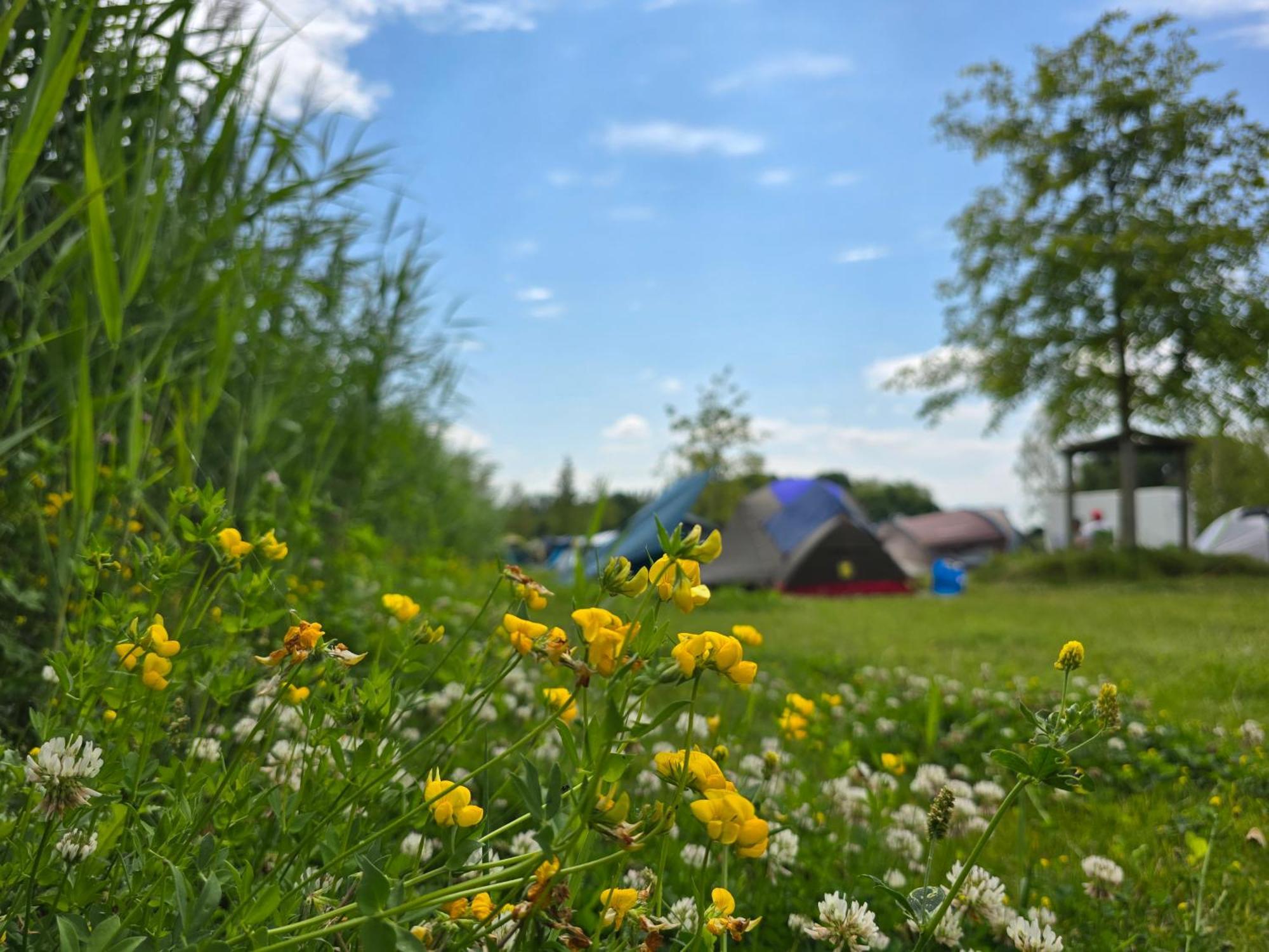 Zeeburg Campsite 3*