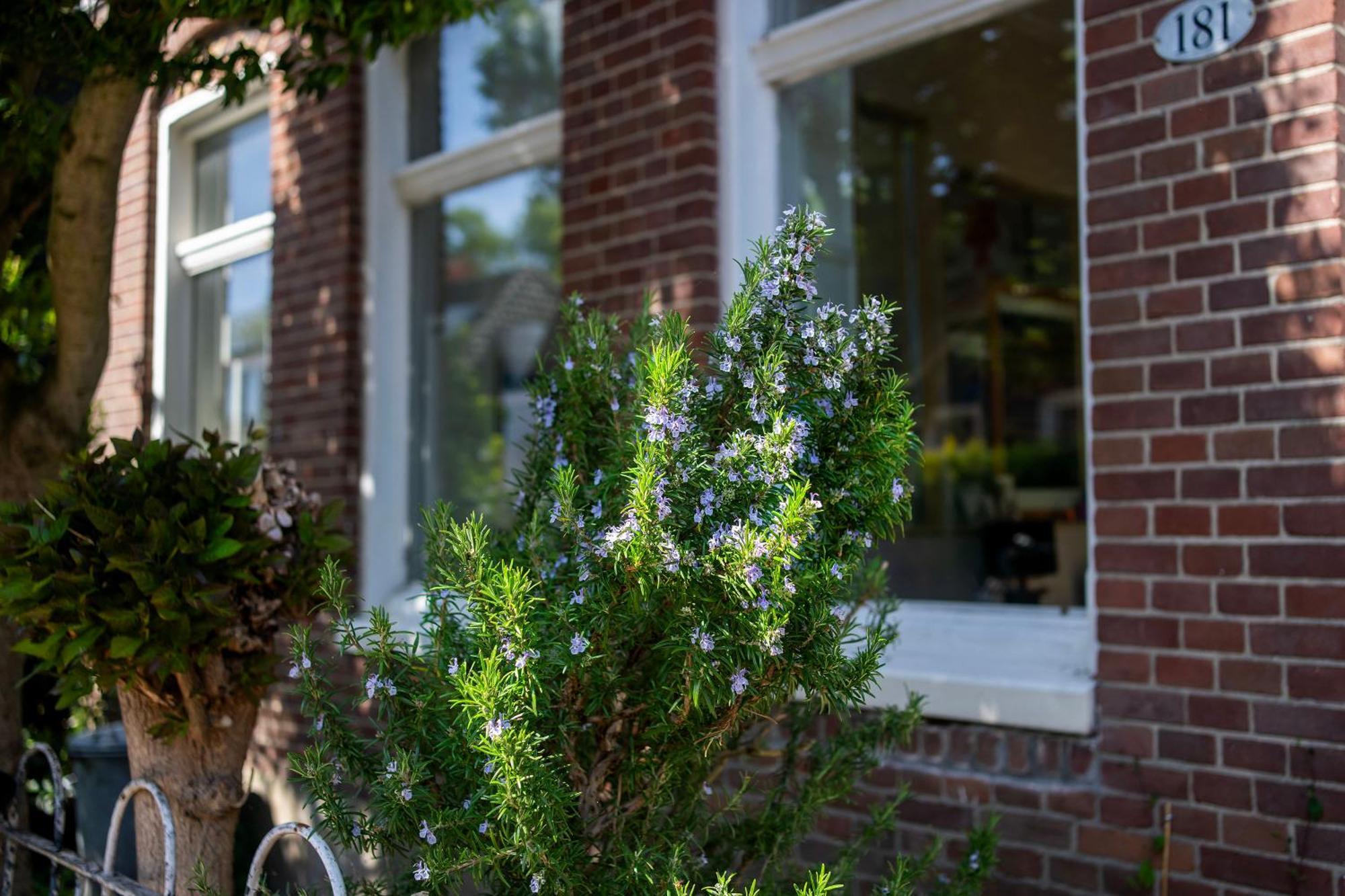 Your Own Floor In Authentic Picturesque Dikehouse Apartment Amsterdam