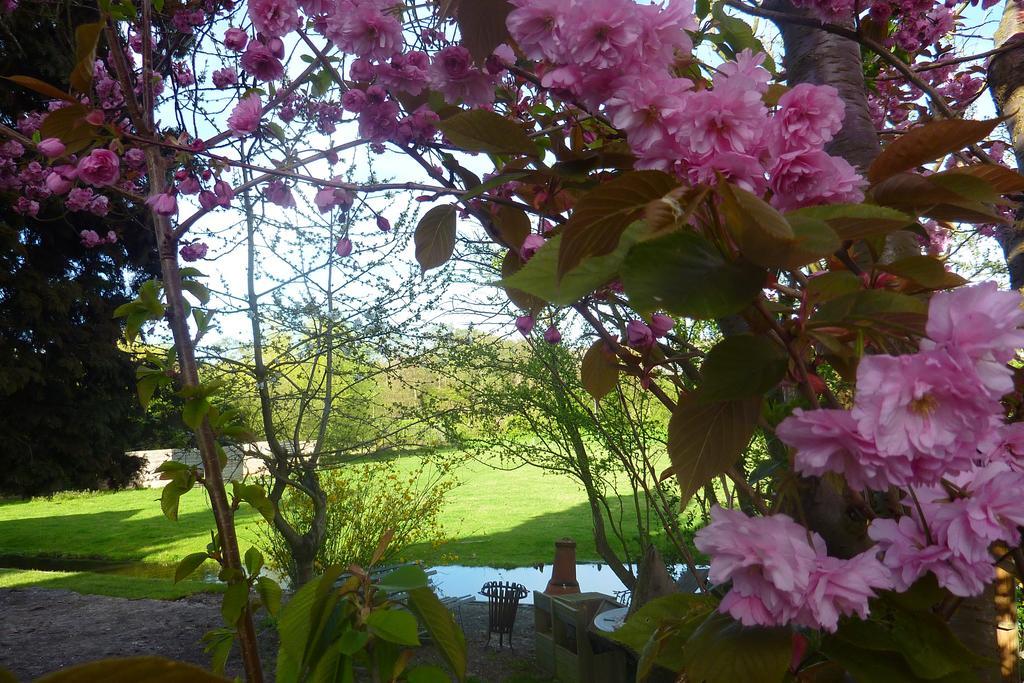 Bloom Bed & Breakfast