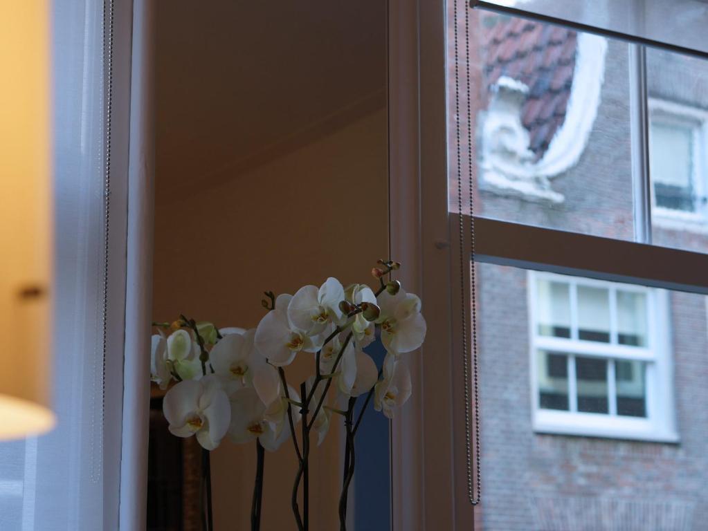 B & B Eye Amsterdam Amsterdam