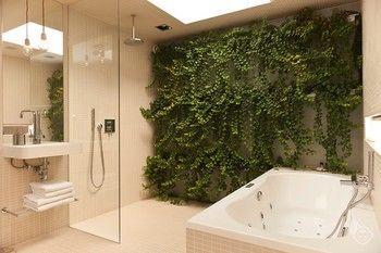 Hotel Dream *