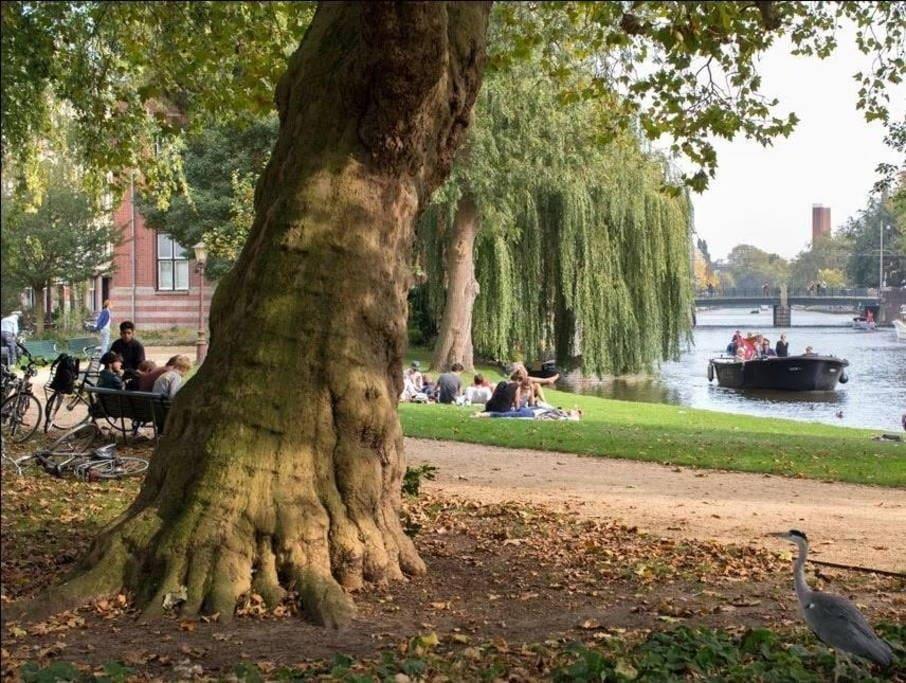 Perfect - Heart Of - Free Private Boat Tour! Amsterdam